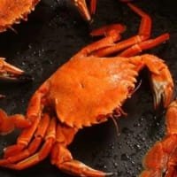 Berwick Shellfish Company Cooked Velvet Crab listed by Real Food Hub