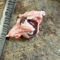 Bramblebee Farm Grass Fed Mutton Kidneys - Each listed by Real Food Hub