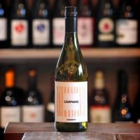 Buon Vino Carparo Macerato Bianco I Parieti 2022 listed by Real Food Hub