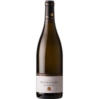 Bourgogne Blanc 2024 Domaine Alain Chavy