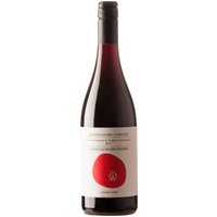 Montepulciano d'Abruzzo Anfora 2023 Francesco Cirelli