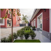 Novara - Terranova49