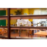 Quimperlé - Logis Hôtel Novalis Quimperlé