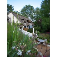 Saint-Étienne-lʼAllier - Le Petit Coq aux Champs - Teritoria