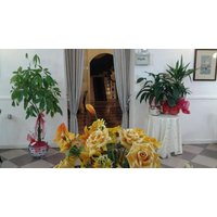 Piombino - Antico Hotel Moderno