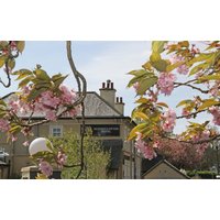 Shotton - Honest Lawyer Hotel