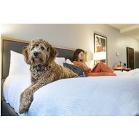 Chicago - Hotel Saint Clair - Magnificent Mile