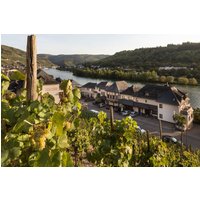 Zell an der Mosel - Hotel garni "Café im Hamm"