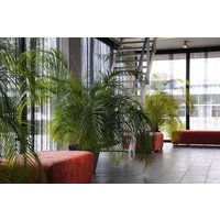 Lommel - Hotel Corbie Lommel