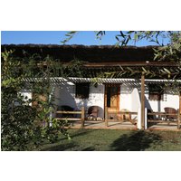 Villamanrique de la Condesa - Ardea Purpurea