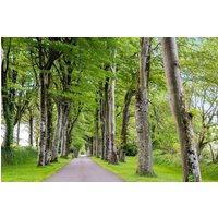 Tréméoc - Manoir de Kerhuel de Quimper