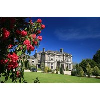 Llangristiolus - Tre-Ysgawen Hall & Spa
