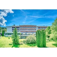 Österrikiska alperna - Hotel Parks