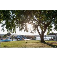 Arcos de la Frontera - Mesón de la Molinera