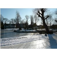 Elmshorn - PARKHOTEL - Rosarium