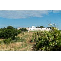 Corato - Le Masserie Zucaro