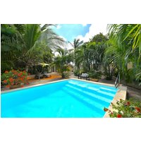 Palm-Eagle Beach - Wonders Boutique Hotel