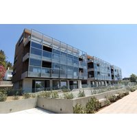 Anavyssos - 3 Olive Trees