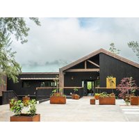 La-Plaine-des-Palmistes - Hôtel le Tuit-Tuit