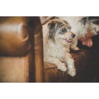 Eglwys-Fâch - Caer Rhun Hall Hotel