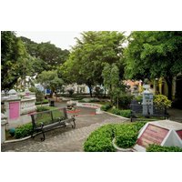 Bella Vista - Honky Tonk Colonial