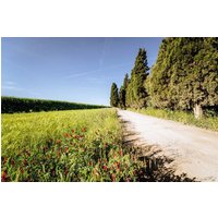 Grosseto - Agriturismo Bio San Mamiliano