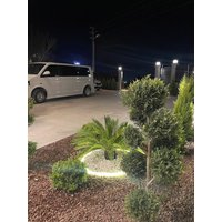 Dalaman - Dalaman Airport AliBaba Hotel