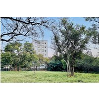 Hoskote - Truelife Whitefield