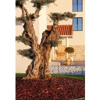 Miajadas - Finca la Desa