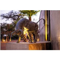 Somone - Casa del Toro Luxury Ranch