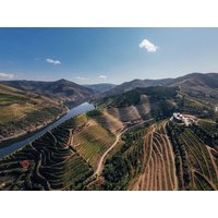 Peso da Régua - Barrilario Douro Wine Hotel e Spa - Quinta São Jose do Barrilario