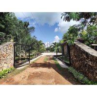 Pongwe - Balungiboutiquehotel