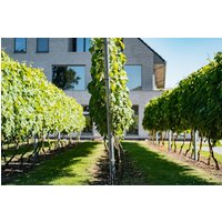 Dendermonde - Abalona Hotel & Apartments