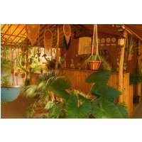 Tiracol - Arambol Bliss Hote Apartments