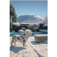 Les Carroz d'Araches - The Originals City, Hôtel du Faucigny, Cluses Ouest