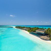Rasdu - Niva Kuramathi Maldives