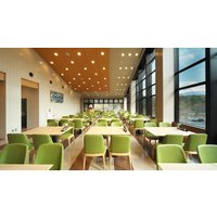 Narusawa - Motosu Phoenix Hotel