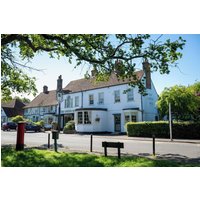 Harlow - Green Man by Chef & Brewer Collection