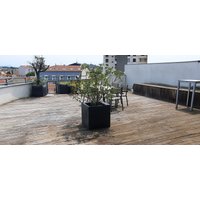 Valence (Rhône-Alpes) - The Originals Residence Hevea