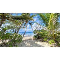 Temae - MOOREA CHILL AND BEACH LODGE