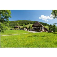 Gutach im Breisgau - Landgasthaus Grüner Baum