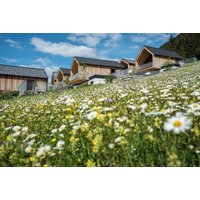 Weissensee - Regitnig - 4 Sterne Hotel und Chalets