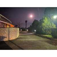 Latina - American Motel