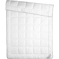 Couette Auriga fibres polyester ERWIN M.; 240x220 cm (lxL); blanc