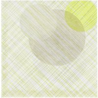 Serviette de table en non tissé Eclissi Ro.ial; 40x40 cm (lxL); vert; 50 pièce(s) / Lot