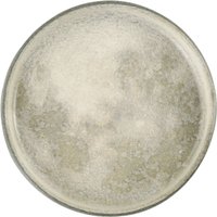 Piatto piano Selene con bordo alto Porland; 27x2.4 cm (ØxH); grigio/bianco; rotonda; 6 pz. / Pacco