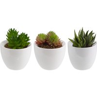 Piante grasse finte Kisha 3 pz.; 9x13 cm (ØxH); bianco
