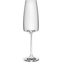 Flûte à Champagne Lotta jaugée VEGA; 34 cl, 4.8x25 cm (ØxH); transparent; 0.1 l trait de remplissage, 6 pièce(s) / Lot