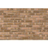 Ibstock Facing Brick Coleridge Yellow Multi Brick (Pack of 500)