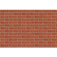Ibstock Facing Brick Dorset Red Stock Brick (Pack of 500)